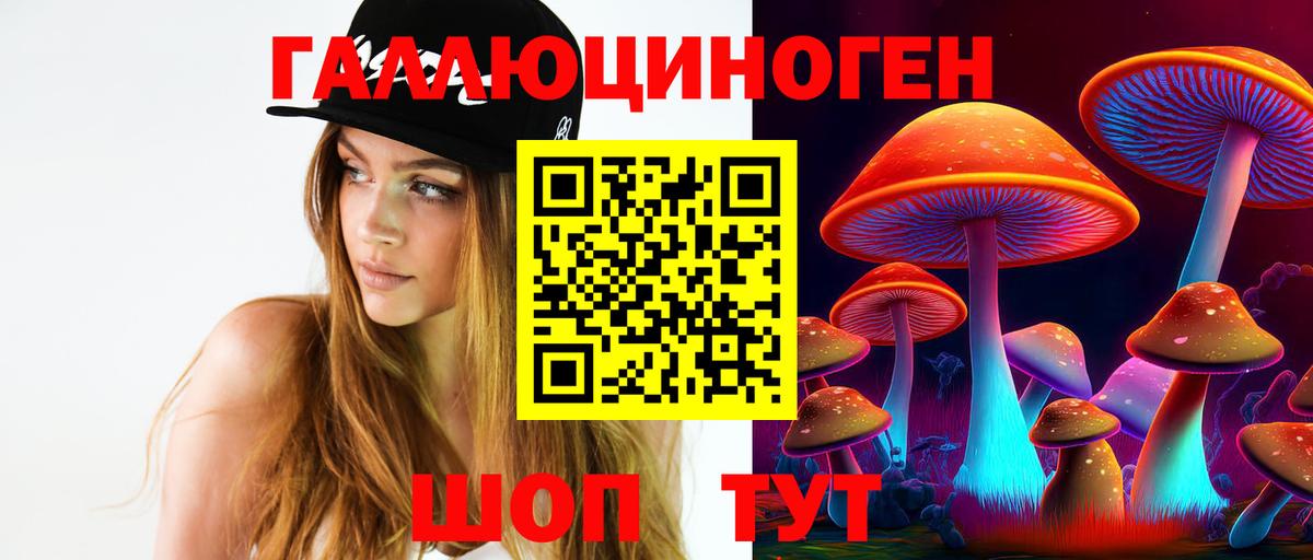 Псилоцибиновые грибы GOLDEN TEACHER  Вход с VPN  Ревда 